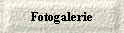 Fotogalerie