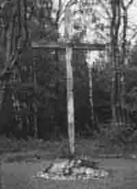 Image1.jpg (11983 Byte)