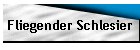 Fliegender Schlesier